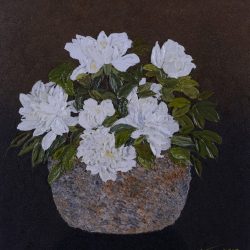 蕊蕊玉肌雪<br> Classical White <br> 60 x 73 cm<br> Oil on Canvas <br> 2016