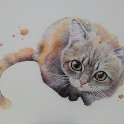 Watercolour Cat<br> 44x30cm <br> Ballpoint Pen on Paper