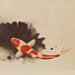 Koi Fish<br> 44x30cm <br> Ballpoint Pen on Paper