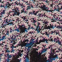 櫻花綻放<br> Sakura <br> 122x122x10cm(74) <br> Acrylic On Canvas <br> 2018