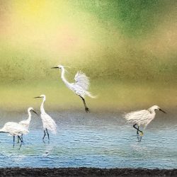 SOLD <BR> 成群白鹭嘻绿波 <br>  Dancing with Snowy Egret <br> 140 x 56cm <br> Oil on Canvas <br>  2018