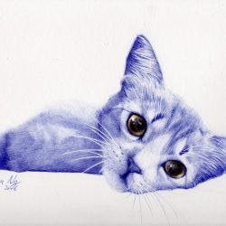 SOLD<br> 藍貓<br> Blue Cat <br> 29x23cm(3)<br> Ballpoint Pen On Paper<br> 2016