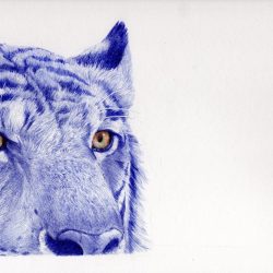 藍虎<br> Blue Tiger <br> 29x23cm(3) <br> Ballpoint Pen On Paper<br> 2016