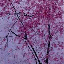 SOLD<br> Clear Sky Covered With Cherry Bomb I<br> Chen Li Wei<br> 39x77cm(15)<br> Oil On Canvas<br> 2018