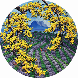 SOLD<br> 薰衣草<br> Lavender <br> 70cm diameter (25)<br> Acrylic On Canvas<br> 2019