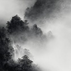 空濛漫山色Mist Touches_Song Yong Hua_50x50cm(13)_Oil On Canvas_2025